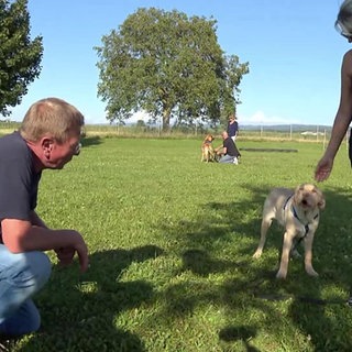 Hundetrainer Thomas Bierer