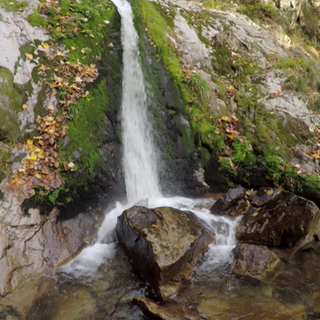 Ein Wasserfall in einem herbstlichen Wald.