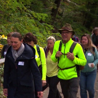 Single-Wanderung in Heidelberg