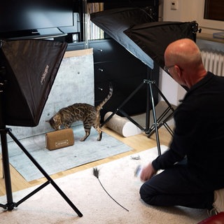 Harald Fuchs arrangiert ein Fotoshooting mit seiner Katze Kitty