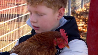 EIn Schüler hält ein Huhn auf dem Arm
