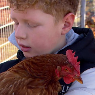 EIn Schüler hält ein Huhn auf dem Arm
