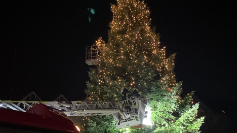 Weihnachtsbaumsetzung auf dem Ulmer Münsterplatz.