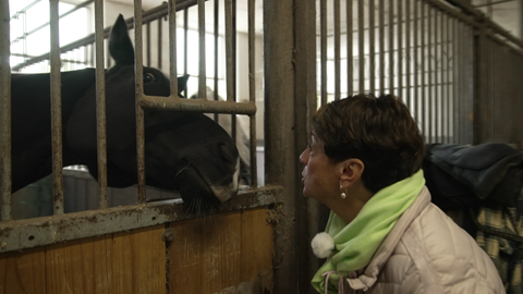 Sonja auf Pferde-Suche in Leonberg.