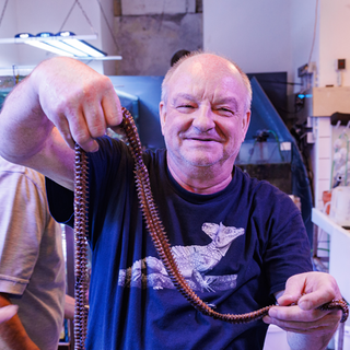 Johann Kirchhauser, der ehemalige Leiter des Vivariums im Naturkundemuseum Karlsruhe, hält einen Borstenwurm in der Hand.