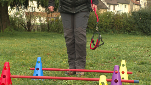 Eine Frau beim Hobby-Dogging im Parcours.