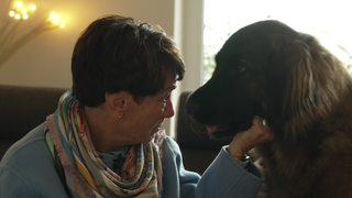 Sonja in Leonberg bei Leonberger Züchtern.