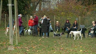 Platz zum Toben und Spielen