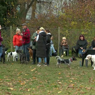 Platz zum Toben und Spielen