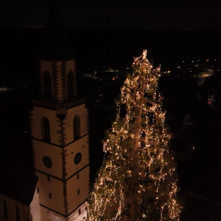 Ein 36,4 Meter hoher Riesenmammutbaum in Eichsel, festlich geschmückt und beleuchtet.