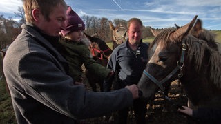 Besuch für Fohlen Sasouh auf dem Gestüt Marbach. Ein Vater hält ein kleines Mädchen auf dem Arm.