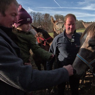 Besuch für Fohlen Sasouh auf dem Gestüt Marbach. Ein Vater hält ein kleines Mädchen auf dem Arm.