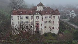 Das Schloss Neuweier aus der Vogelperspektive.Ein größes, weißes Schloss mit rötlichem Dach. 