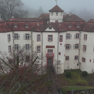 Das Schloss Neuweier aus der Vogelperspektive.Ein größes, weißes Schloss mit rötlichem Dach. 