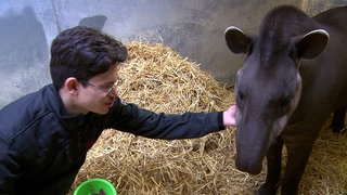 Shai-Jan Eiselen ist Tierpfleger in der Wilhelma.