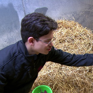 Shai-Jan Eiselen ist Tierpfleger in der Wilhelma.