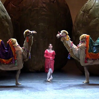 Als Kamele verkleidete Tänzerpaare auf der Bühne des Stuttgarter Balletts