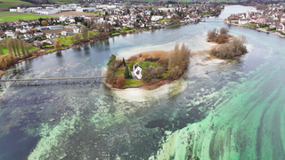 Am Bodensee-Ufer zwischen Gaienhofen und Horn.
