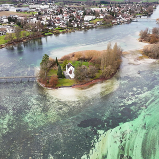 Am Bodensee-Ufer zwischen Gaienhofen und Horn.