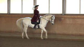 Training im Barockreitzentrum von Ulrike Störzbach in Heimsheim.
