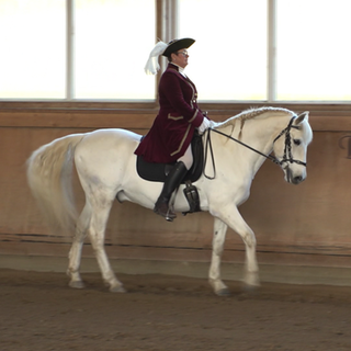 Training im Barockreitzentrum von Ulrike Störzbach in Heimsheim.