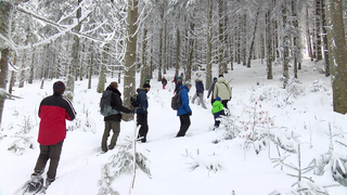 Schneeschuh-Wanderung im Nationalpark Schwarzwald