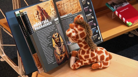 Kuscheltiergiraffe sitzt lesend vor einem Buch in der Stadtbücherei Leinfelden-Echterdingen