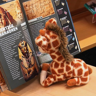 Kuscheltiergiraffe sitzt lesend vor einem Buch in der Stadtbücherei Leinfelden-Echterdingen