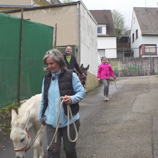 Birgit und ihre Esel