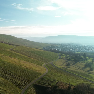 In Vogelperspektive sieht man winterliche Weinberge und im Hintergrund einen kleinen Ort. 