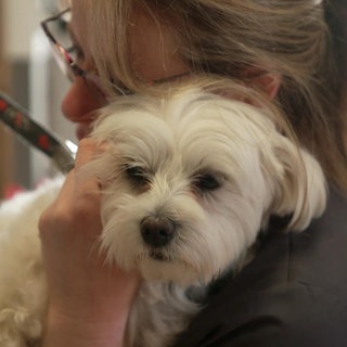 Hundefriseurin Manuela Sidan mit einem Hund auf dem Arm