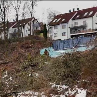 Blick auf das Haus und den davor abrutschenden Hang