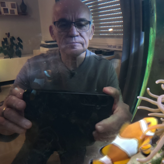 Man sitzt vor Aquarium