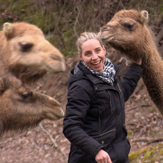 Eine Frau und drei Dromedare