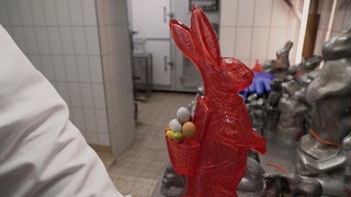 Ein roter Zuckerosterhase mit einem Rucksack mit kleinen Eiern drin steht in einer grau-weißen Industrieküche.