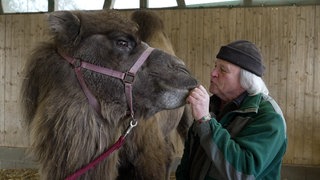 Klaus Kohm steht rechts neben einem Trampeltier und macht einen Kussmund, während er es streichelt. Das Trampeltier guckt in seine Richtung.