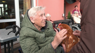 Eine Seniorin streichelt ein braunes Huhn. 