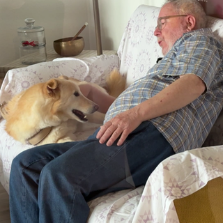 Straßenhund "Nice" mit seinem neuen Besitzer