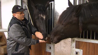 Peter Schlaer steht vor einem Stall und füttert zwei schwarze Pferde.