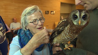 Eine ältere Frau mit grauen Haaren streichelt mit einem Finger eine Eule, die auf dem Arm eines Falkners sitzt.