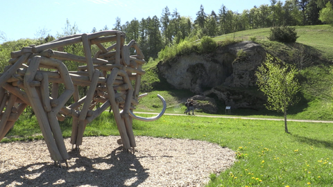 Wanderung in der Vulkanlandschaft im Hegau.