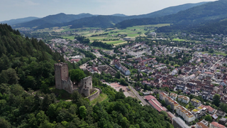 Panoramablick über Waldkirch.