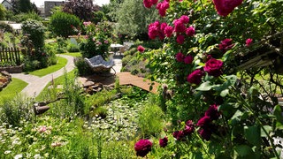 Rosengarten in Rheinhausen