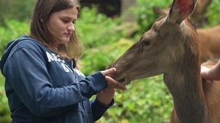 Jody füttert einen Hirsch 