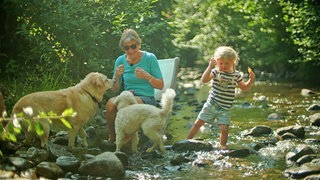 Familie Bohny sitzt in einem Bach, der von einem Wald umgeben ist. Vor ihnen stehen zwei Hunde.