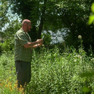 Ein Mann steht in einem Naturgarten. Um ihn rum ist alles grün und blüht. Er hält ein Handy in seiner Hand und fotografiert. 