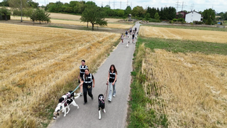 Ehrenamtliche gehen mit Hunden aus dem Tierheim Ludwigsburg Gassi