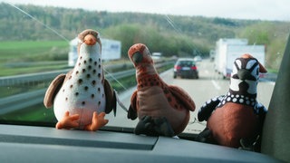 Drei Wachtel-Stofftiere mit verschiedenen Mustern sitzen auf dem Amaturenbrett eines Sprinters. Im Hintergrund sieht man die Autobahn.