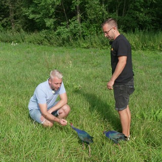 Michael steht mit seinem Partner Paddy auf einer Wiese und kniet sich zu einem Vogel hin.