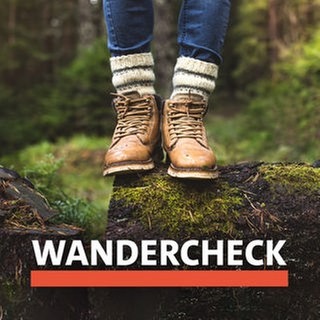 Die Landesschau Rheinland-Pfalz sucht Sie als Wanderchecker*innen.